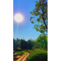 旅行风景6991