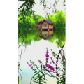 旅行风景6992