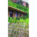 旅行风景6995