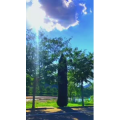 旅行风景7006