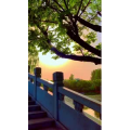 旅行风景7010