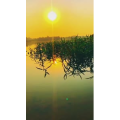 旅行风景7012