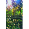 旅行风景7014