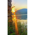 旅行风景7016