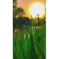 旅行风景7019