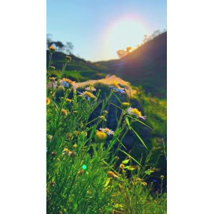 旅行风景7027