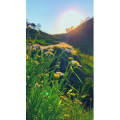 旅行风景7027