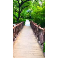 旅行风景7028