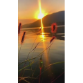 旅行风景7039