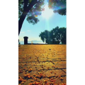 旅行风景7040
