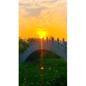 旅行风景7063