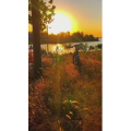 旅行风景7073