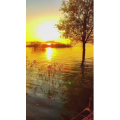 旅行风景7090