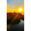 旅行风景7107