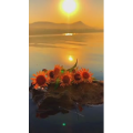 旅行风景7109