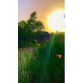 旅行风景7110
