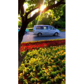旅行风景7121