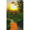 旅行风景7133