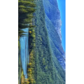 旅行风景7148