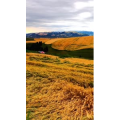 旅行风景7159