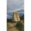 旅行风景7172