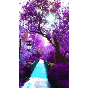 旅行风景7174