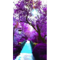 旅行风景7174
