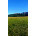 旅行风景7181