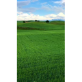 旅行风景7183