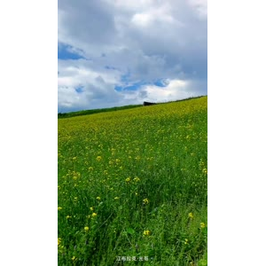 旅行风景7185