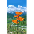 旅行风景7212