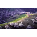 旅行风景7243
