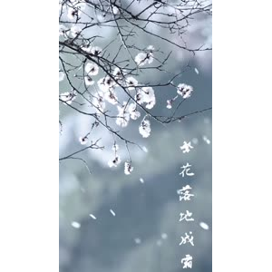 旅行风景7244