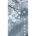 旅行风景7244