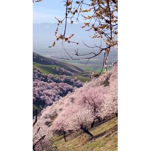 旅行风景7245