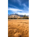 旅行风景7291