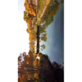 旅行风景7293