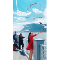 旅行风景7311