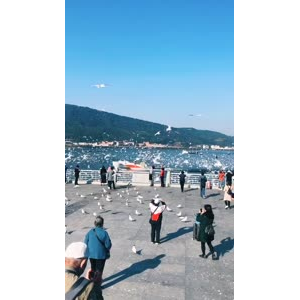 旅行风景7320