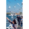 旅行风景7323