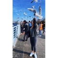 旅行风景7326