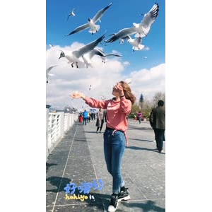 旅行风景7329