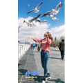 旅行风景7329