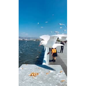 旅行风景7331