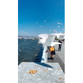旅行风景7331