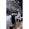 旅行风景7334