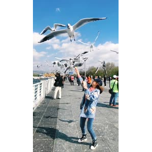 旅行风景7346