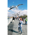 旅行风景7346