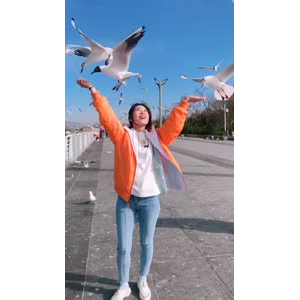 旅行风景7348