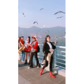 旅行风景7351